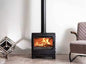 ESSE 175F Wood Burning Stove 5kW